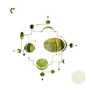 Pollen Forms