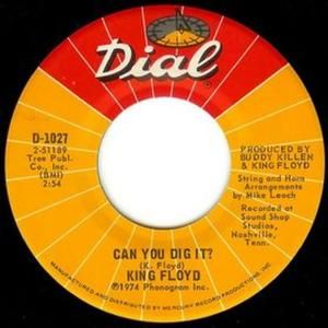 Can You Dig It? / Learning to Forget You (Single)