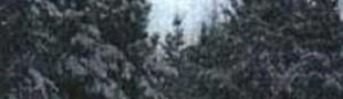 Pochette Snowland