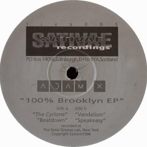 100% Brooklyn EP (EP)