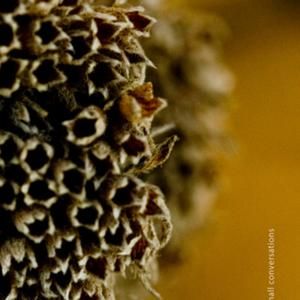 Small Conversations (EP)