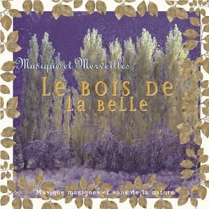 Le bois et la belle