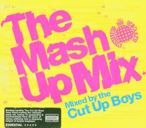 Ministry of Sound: The Mash Up Mix