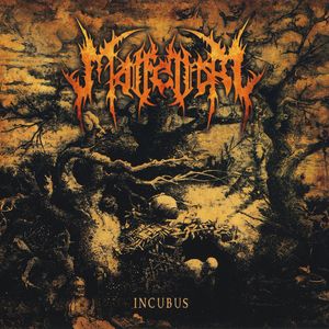 Void of Voids