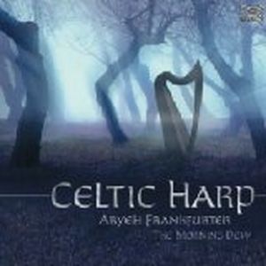 Celtic Harp: The Morning Dew