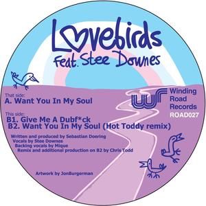 Want You in My Soul (Hot Toddy remix)