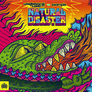 Natural Disaster (Single)