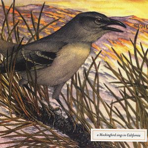 A Mockingbird Sings in California