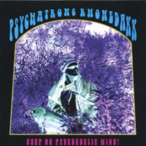 Theme from Acid Mother Lovers