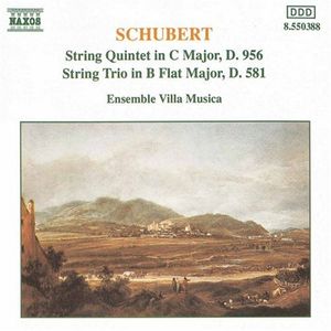 String Quintet in C major, D. 956: Adagio