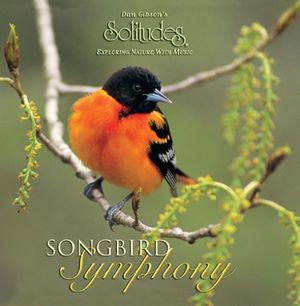 Baltimore Oriole