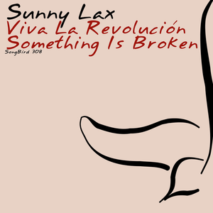 Something Is Broken (original mix)
