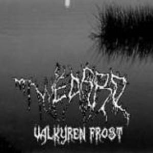 Valkyren Frost (EP)