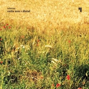 Burning Back in Vacant Fields