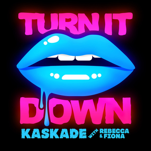 Turn It Down (Deniz Koyu remix)