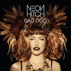 Bad Dog (Jason Nevins remix)