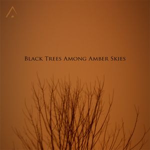 Black Trees Among Amber Skies