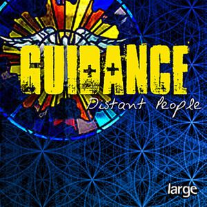 Guidance (Single)