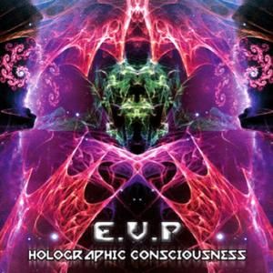 Holographic Consciousness