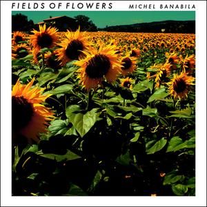 Fields of Flowers