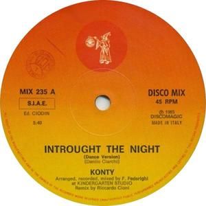 Introught the Night (dance version)