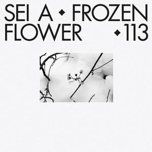 Frozen Flower (Single)