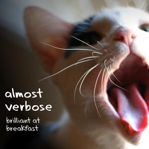 Almost Verbose (EP)