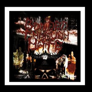 Doomsday-The Rise of Valhalla