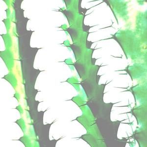 Weather Underground