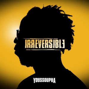 Irréversible (instrumental)