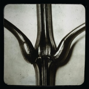 Five Trees (Single)