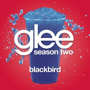 Blackbird (Single)