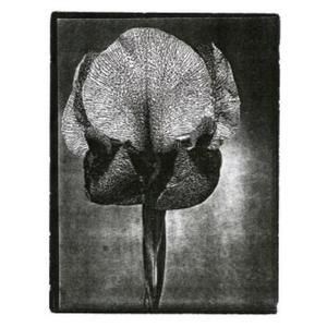 Pulling Up Grass Under Blanket