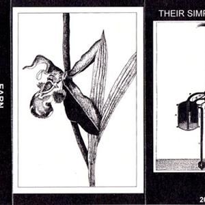 Their Simple Nature (EP)