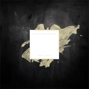New Light (EP)