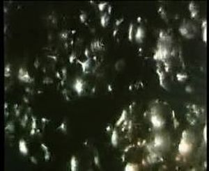 Silver Screen