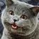 Avatar ackboo Avatar ackboo