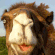 Avatar Valonqar Avatar Valonqar