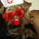 Avatar LoulouparkerP Avatar LoulouparkerP