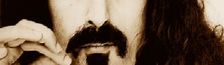 Illustration Frank Zappa, l'éclectique moustachu.