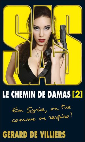 Le Chemin De Damas - Partie 2 - SAS, tome 194