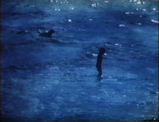 La Plage - Court-métrage (1992) - SensCritique