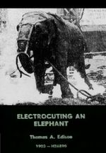 Affiche Electrocuting an Elephant