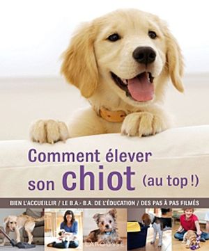 Comment élever son chiot (au top!)