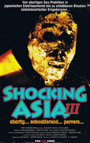 Shocking Asia III: After Dark