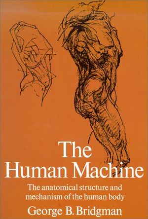 The Human Machine: The Anatomical Structure and Mechanism of the Human Body