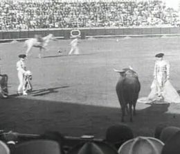 image-https://media.senscritique.com/media/000004240023/0/spanish_bullfight.jpg
