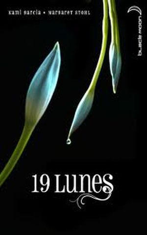19 Lunes - Le Livre des lunes, tome 4