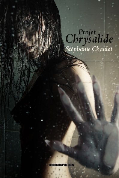 Projet_Chrysalide.jpg