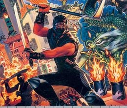 image-https://media.senscritique.com/media/000004256606/0/ninja_gaiden.jpg